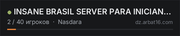 INSANE BRASIL SERVER PARA INICIANTES PVE в списке серверов DayZ от AR16