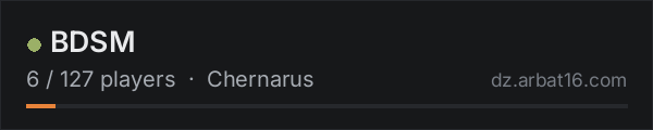 BDSM on the AR16 DayZ server list