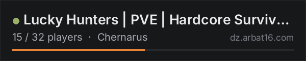 Lucky Hunters | PVE | Hardcore Survival | Winter Chernarus on the AR16 DayZ server list