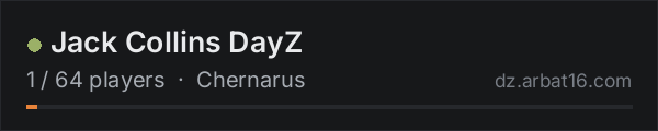 Jack Collins DayZ on the AR16 DayZ server list