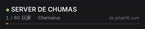 AR16 DayZ 服务器列表中的 SERVER DE CHUMAS
