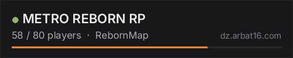 METRO REBORN RP on the AR16 DayZ server list
