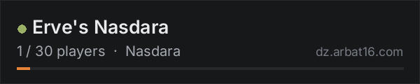 Erve's Nasdara on the AR16 DayZ server list