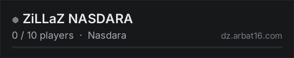 ZiLLaZ NASDARA on the AR16 DayZ server list