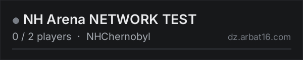 NH Arena NETWORK TEST on the AR16 DayZ server list