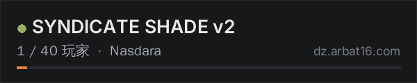 AR16 DayZ 服务器列表中的 SYNDICATE SHADE v2