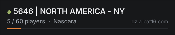 5646 | NORTH AMERICA - NY on the AR16 DayZ server list
