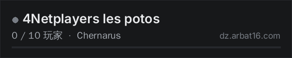 AR16 DayZ 服务器列表中的 4Netplayers les potos