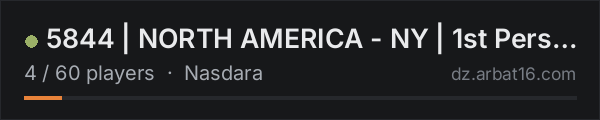5844 | NORTH AMERICA - NY | 1st Person Only on the AR16 DayZ server list