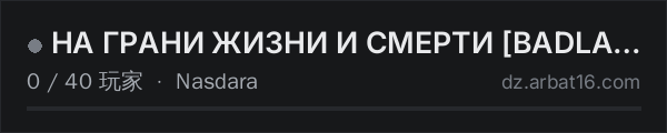 AR16 DayZ 服务器列表中的 НА ГРАНИ ЖИЗНИ И СМЕРТИ BADLANDS RU DV