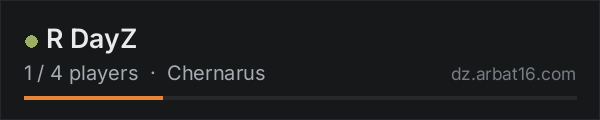 R DayZ on the AR16 DayZ server list