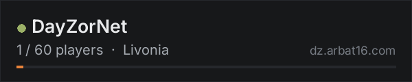 DayZorNet on the AR16 DayZ server list