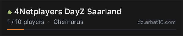 4Netplayers DayZ Saarland on the AR16 DayZ server list