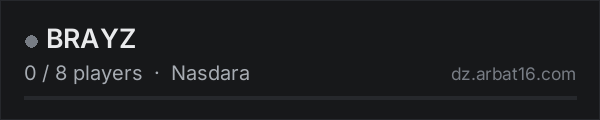 BRAYZ on the AR16 DayZ server list