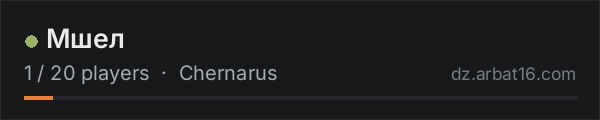 Мшел on the AR16 DayZ server list