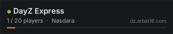DayZ Express on the AR16 DayZ server list