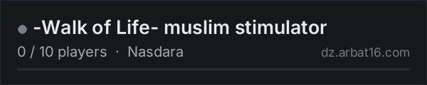 -Walk of Life-  muslim stimulator on the AR16 DayZ server list