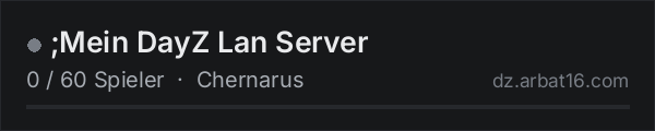 ;Mein DayZ Lan Server in der DayZ-Serverliste von AR16