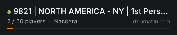 9821 | NORTH AMERICA - NY | 1st Person Only on the AR16 DayZ server list