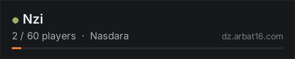 Nzi on the AR16 DayZ server list
