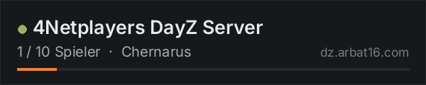 4Netplayers DayZ Server in der DayZ-Serverliste von AR16