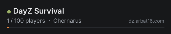 DayZ Survival on the AR16 DayZ server list