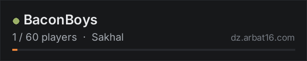 BaconBoys on the AR16 DayZ server list