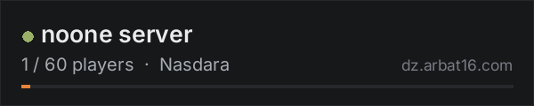 noone server on the AR16 DayZ server list