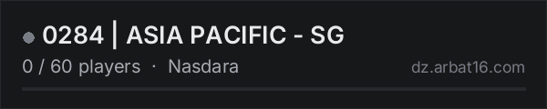 0284 | ASIA PACIFIC - SG on the AR16 DayZ server list