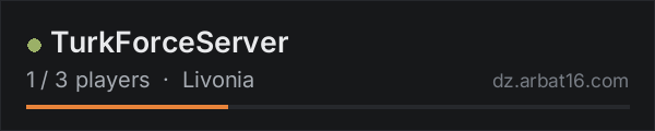 TurkForceServer on the AR16 DayZ server list