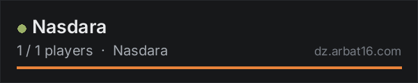 Nasdara on the AR16 DayZ server list