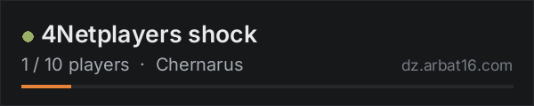 4Netplayers shock on the AR16 DayZ server list