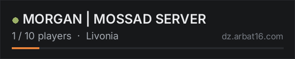EXAMPLE NAME on the AR16 DayZ server list