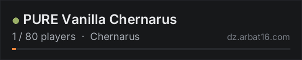 PURE Vanilla Chernarus on the AR16 DayZ server list