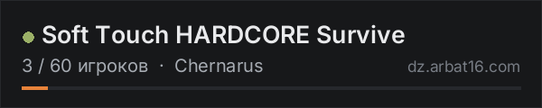 Soft Touch HARDCORE Survive в списке серверов DayZ от AR16