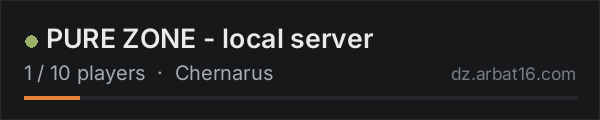 PURE ZONE - local server on the AR16 DayZ server list