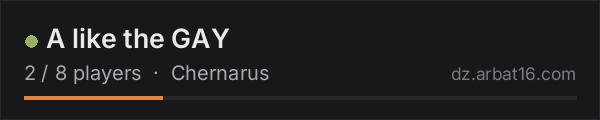 A like the GAY on the AR16 DayZ server list