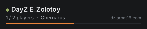 DayZ E_Zolotoy on the AR16 DayZ server list