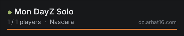 Mon DayZ Solo on the AR16 DayZ server list