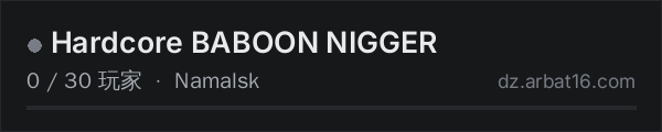 AR16 DayZ 服务器列表中的 Hardcore BABOON NIGGER