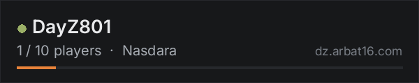 DayZ801 on the AR16 DayZ server list