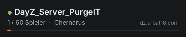 DayZ_Server_PurgeIT in der DayZ-Serverliste von AR16
