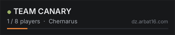 TEAM CANARY on the AR16 DayZ server list