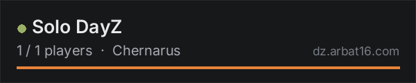Solo DayZ on the AR16 DayZ server list