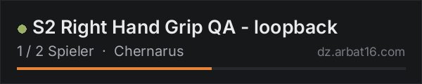 S2 Right Hand Grip QA - loopback in der DayZ-Serverliste von AR16