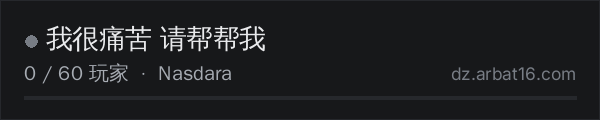AR16 DayZ 服务器列表中的 我很痛苦 请帮帮我
