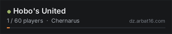 Hobo's United on the AR16 DayZ server list