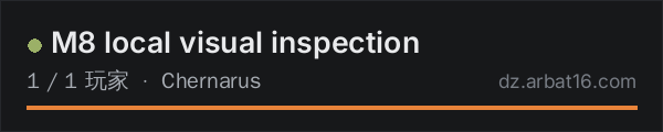 AR16 DayZ 服务器列表中的 M8 local visual inspection