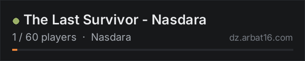 The Last Survivor - Nasdara on the AR16 DayZ server list