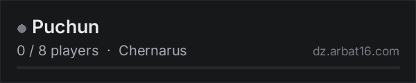 Puchun on the AR16 DayZ server list
